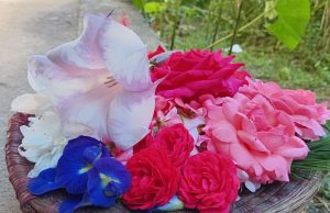 आजको पञ्चाङ्ग, ग्रहगोचर : बरुथिमि एकादशी