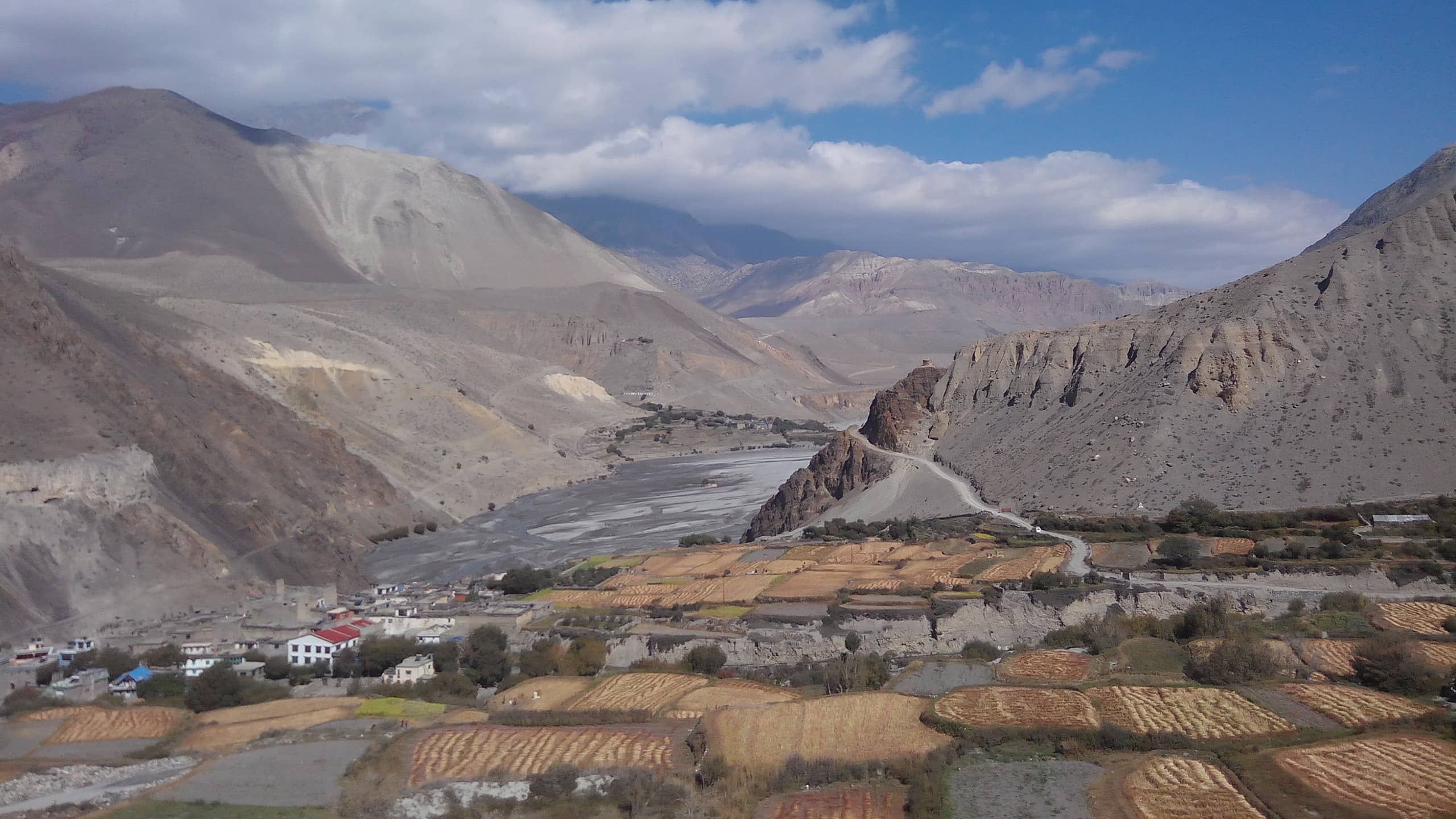 टप अफ दी वल्र्ड गल्फमा घोडा पुरस्कार