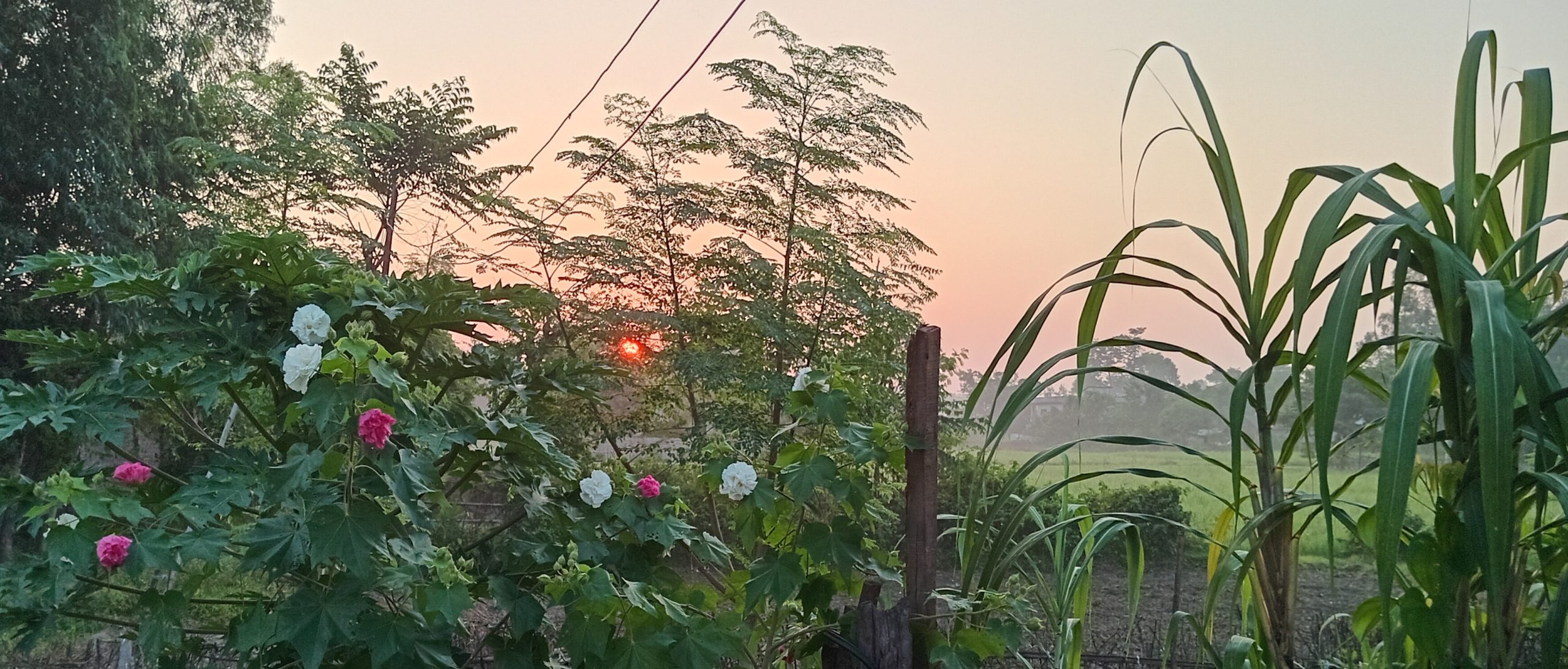 आज तिथि मिति ग्रहगोचर