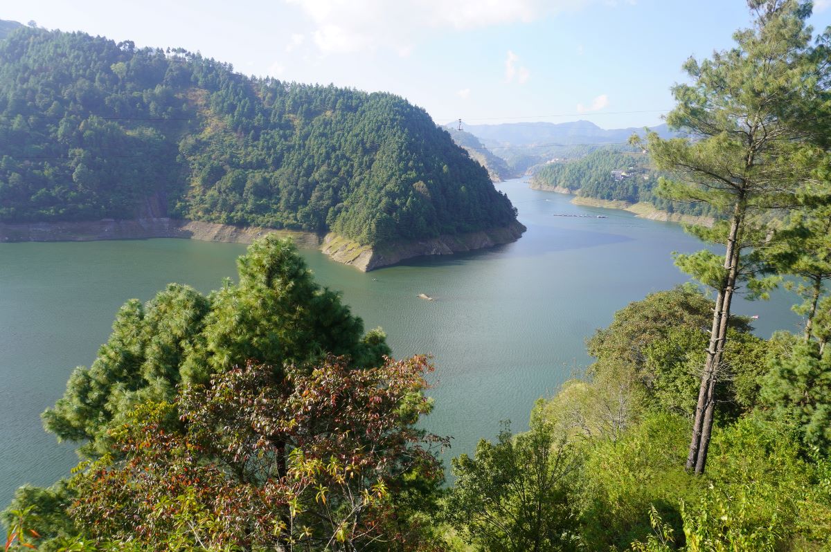 खेतबारीमा हालेको विषादीले जलासयको माछालाई  असर  