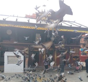 आजको पञ्चाङ्ग,ग्रहगोचर