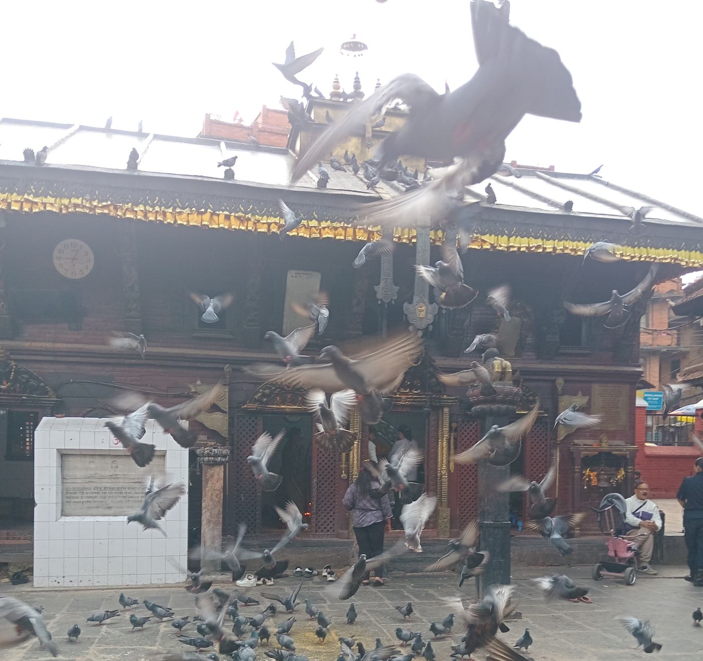 आजको पञ्चाङ्ग, ग्रहगोचर