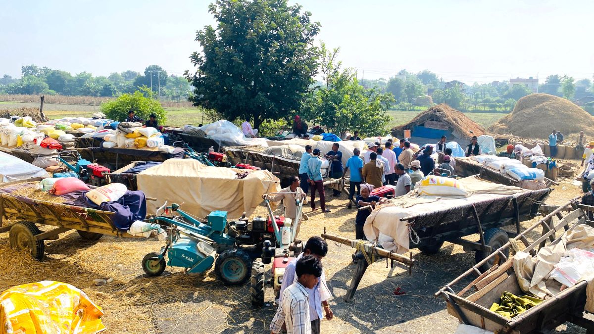 किसानको कहर: धान बेच्न  जाग्राम