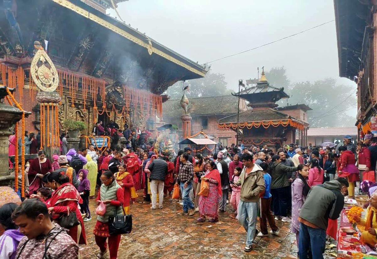 हरि बोधिनी एकादशी : तुलसी दामोदर विवाह 