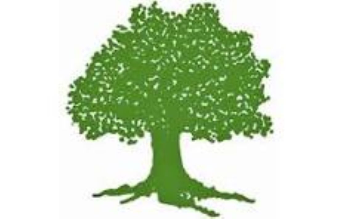 कांग्रेसको विशेष भेला:पाका नेता,प्राध्यापक पेशाकर्मीहरुले सम्बोधन गर्ने