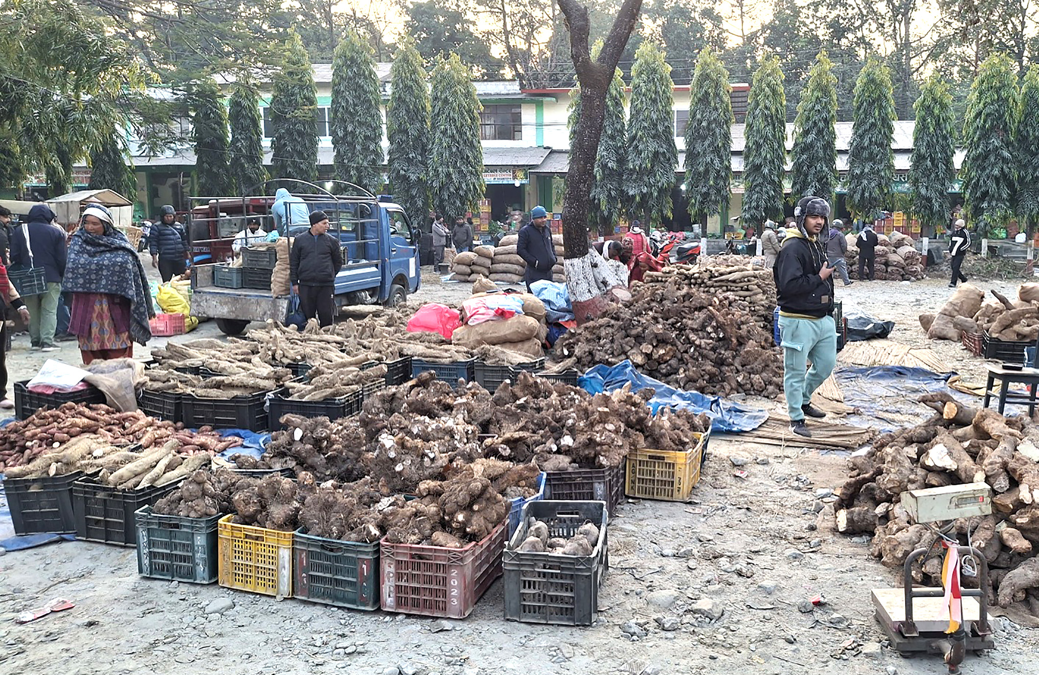 माघे सङ्क्रान्तीको आगमन