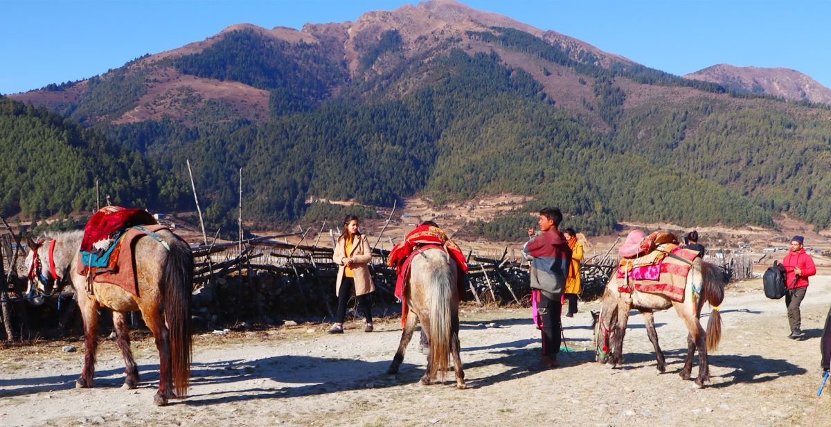 चिसोमा  पनि ढोरपाटनमा पर्यटकको चहलपहल