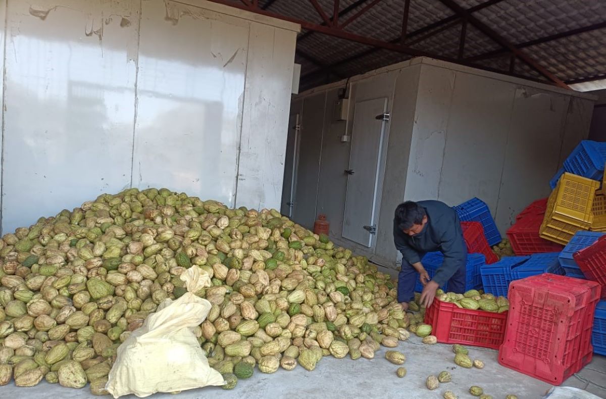 रामप्रसादराईमा शीत भण्डार : कृषि उपजको भण्डारणसँगै बजारीकरण सुनिश्चित गर्ने उद्देश्य