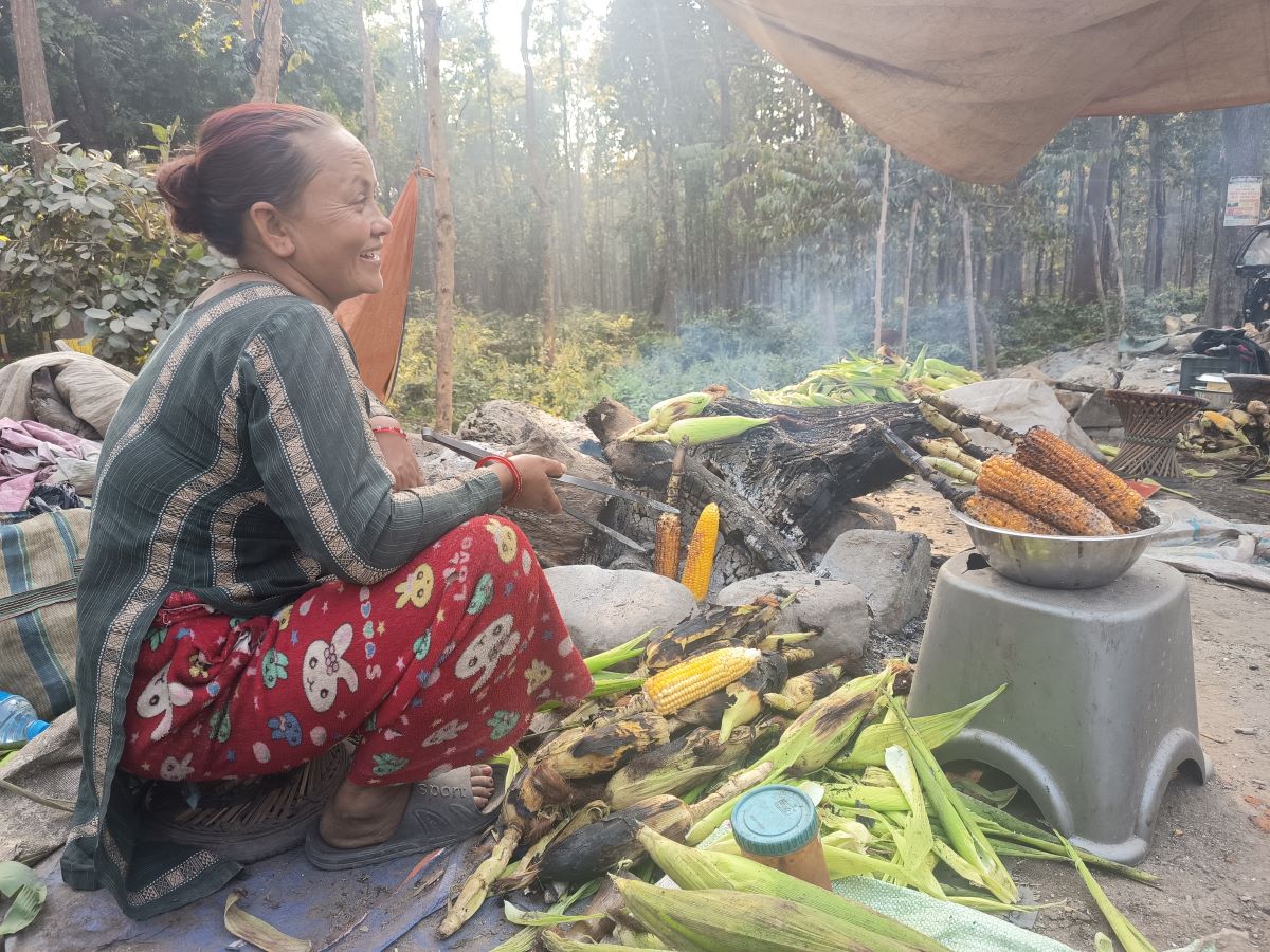 भाउन्नेको पोलेको मकै:खाजा हुने, थकाई पनि मर्ने