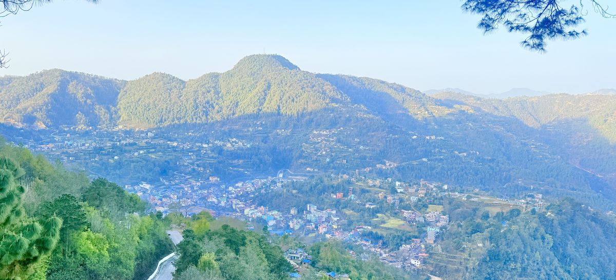 पारिलो घाममा तम्घास