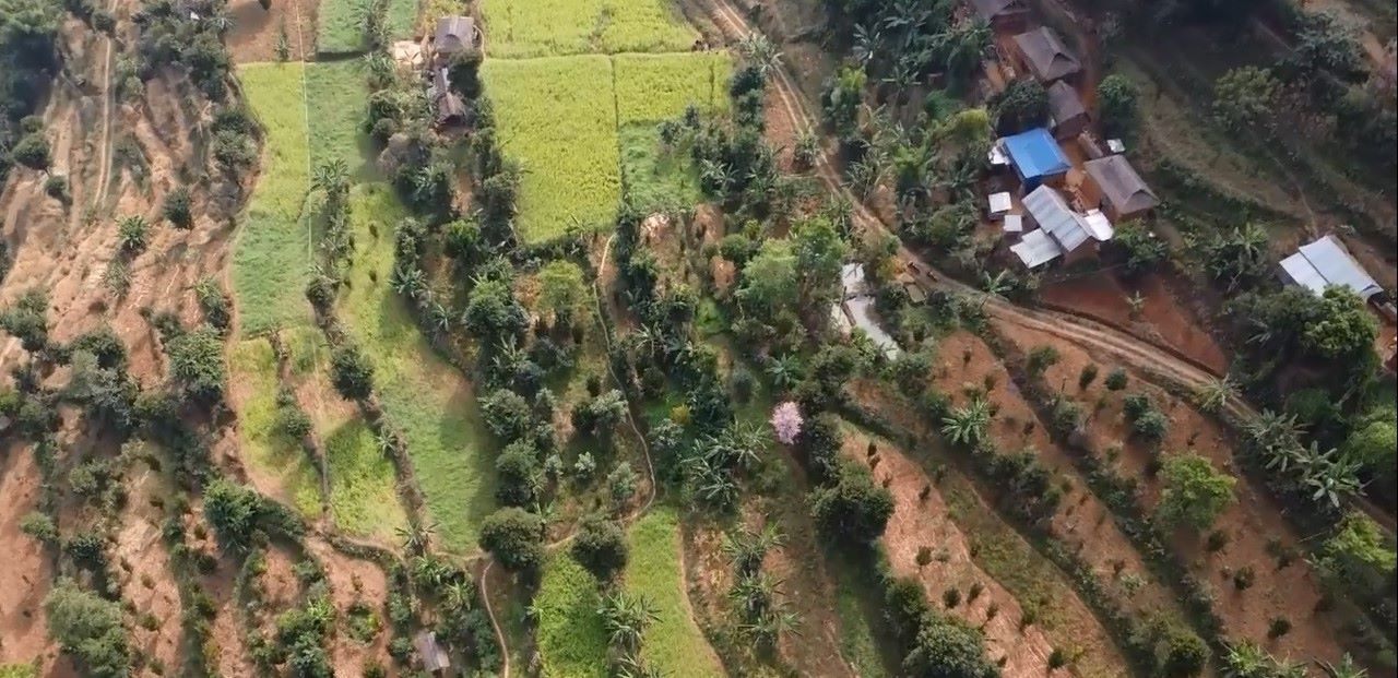 व्यावसायिक फलफूलखेतीमा भुलिदैं भुल्केका किसान