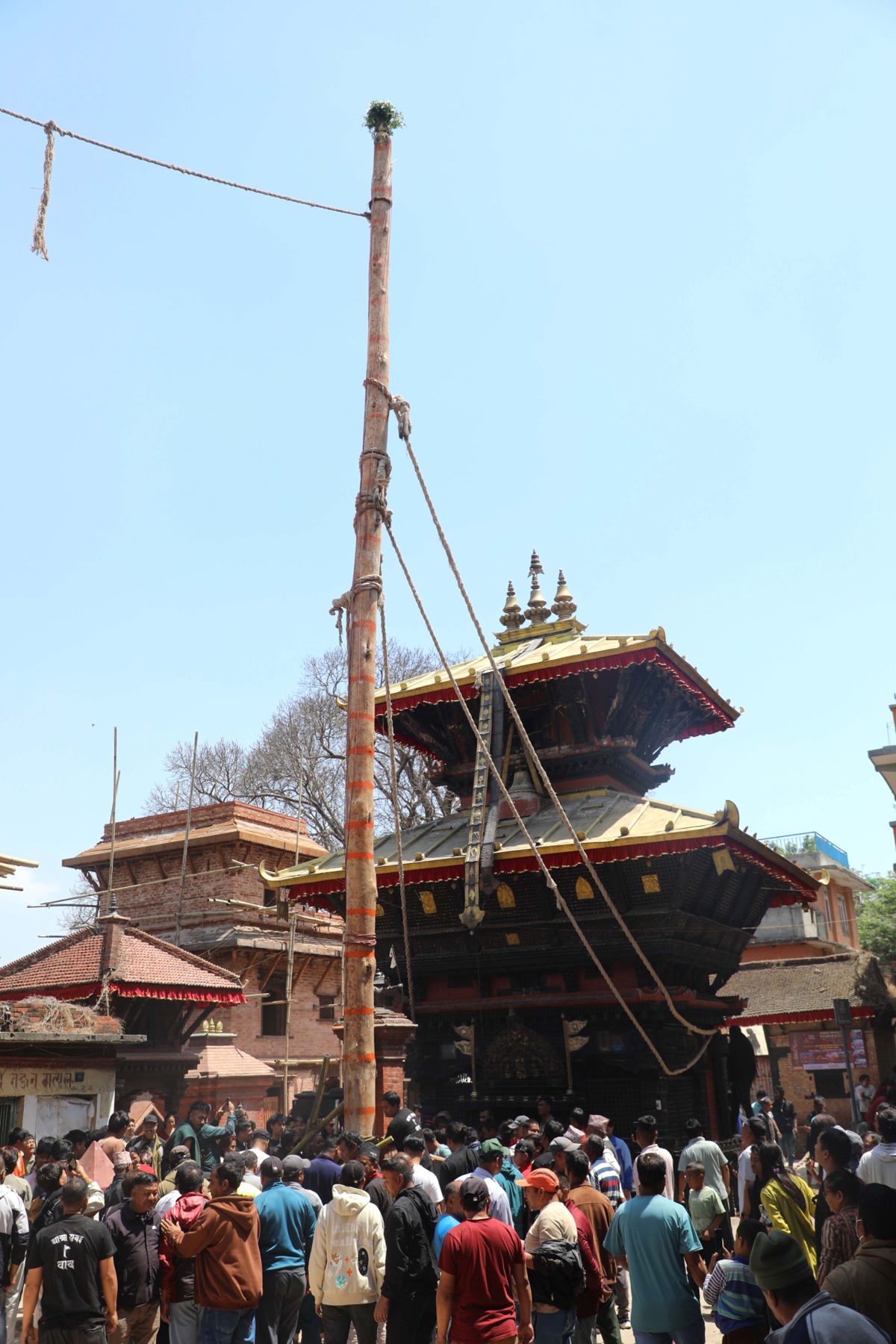 सुरु भयो जिब्रो छेड्ने जात्राको ब्रत