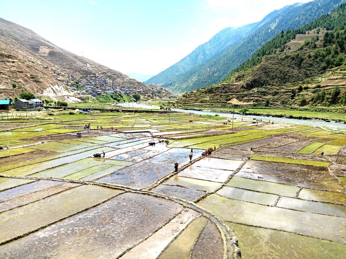 पूर्वबाट पश्चिम सर्यो मनसुन, देसैभर विस्तार