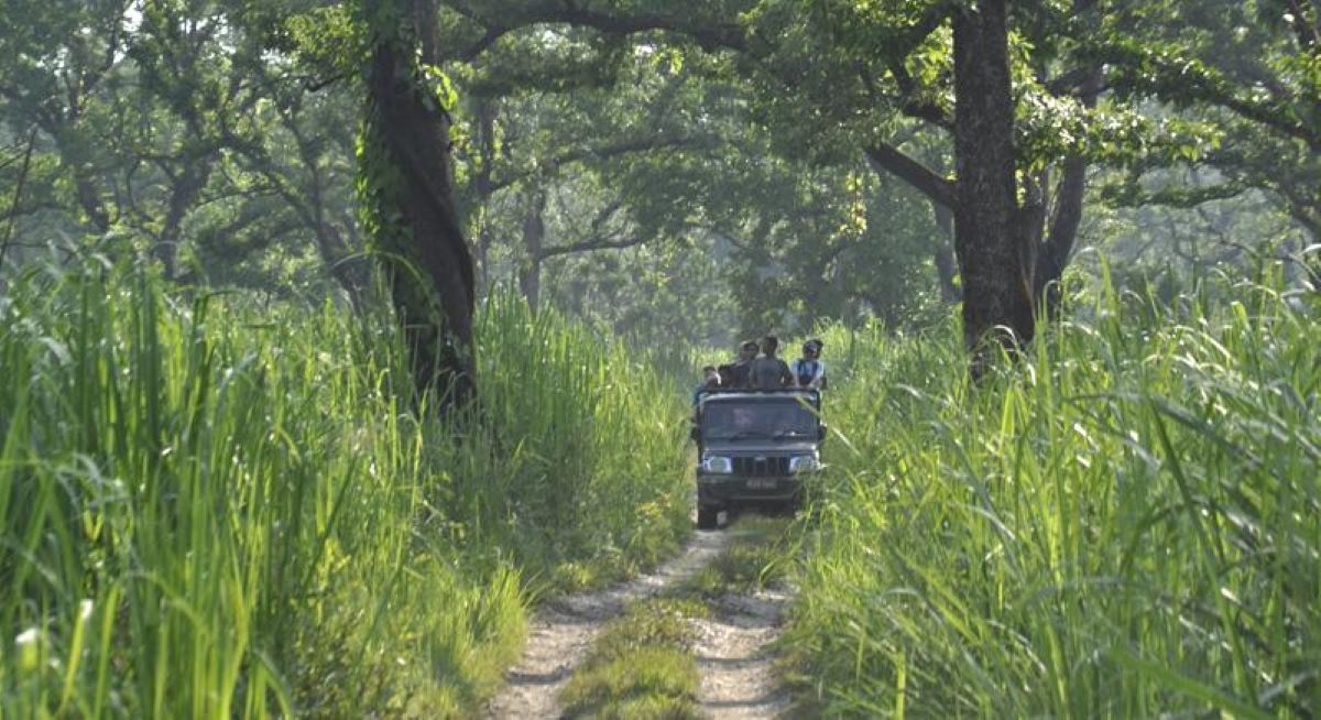 आर्थिक समृद्धिको नयाँ आधार बन्दै वन