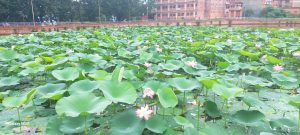आजको पंचाङ्ग, ग्रहगोचर