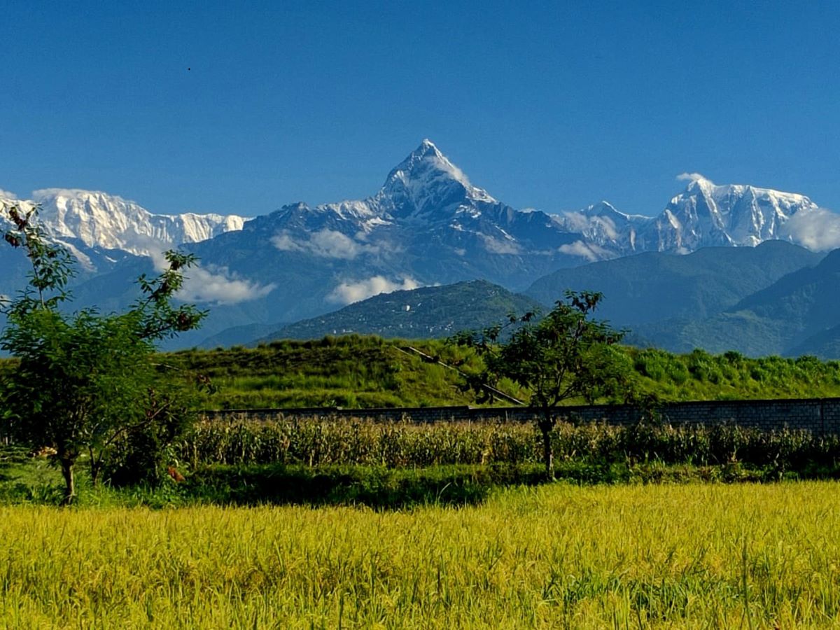 आजको पंचाङ्ग, ग्रहगोचर
