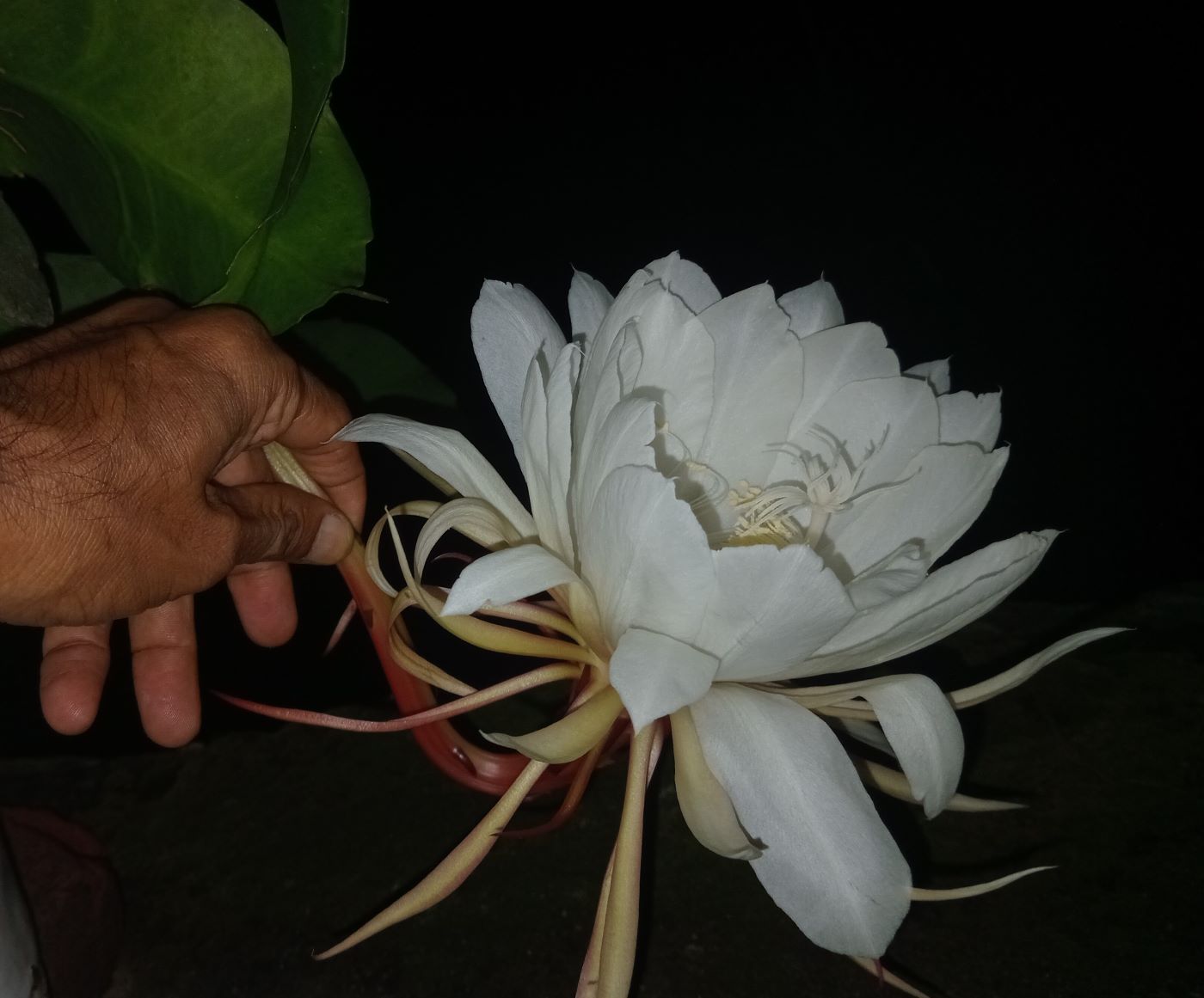 आजको पचाङ्ग, ग्रहगोचर