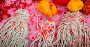 पचाङ्ग, ग्रहगोचर : आज ऋषितर्पणि (जनैपूर्णिमा), राखी